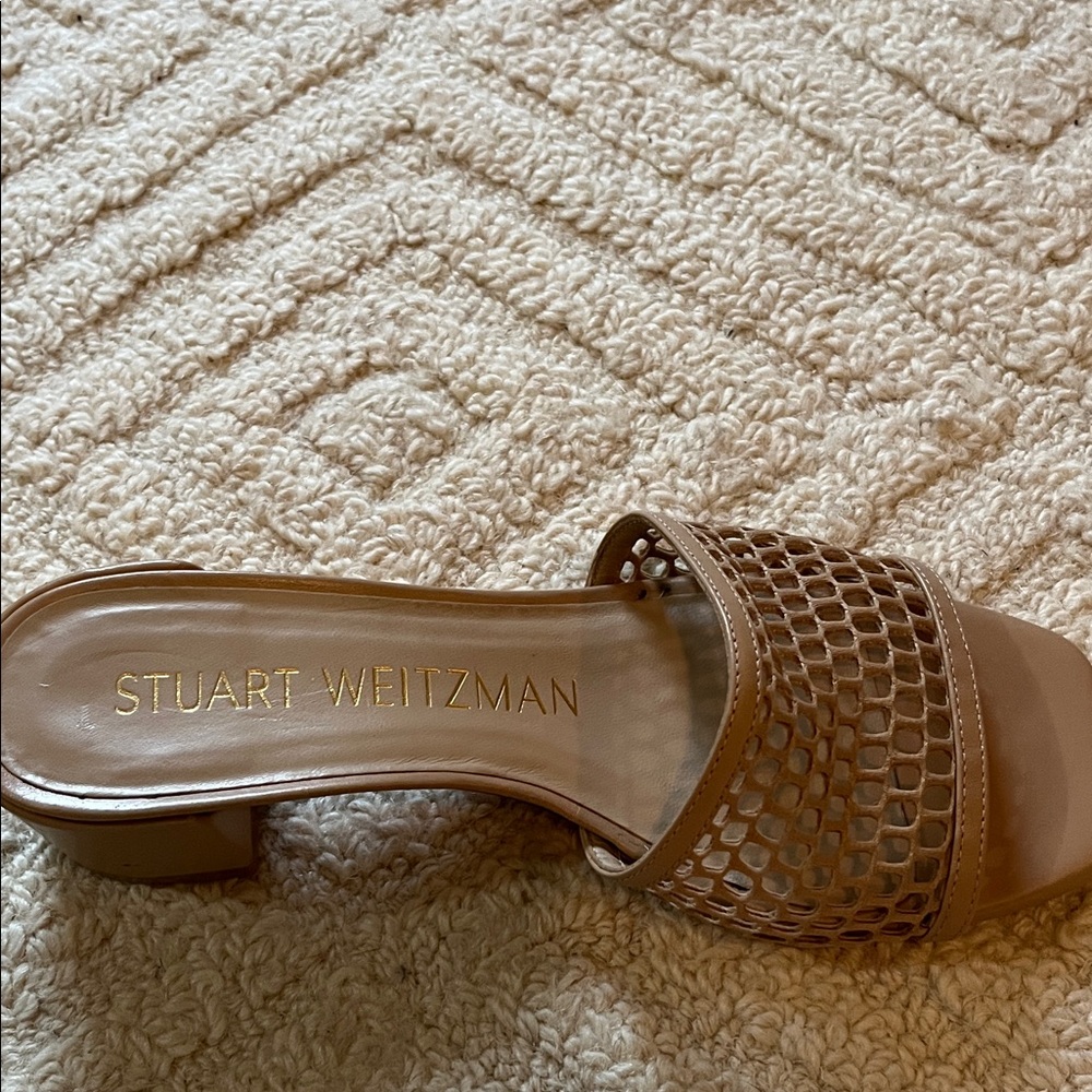 Stuart Weitzman Brown Mesh Mules